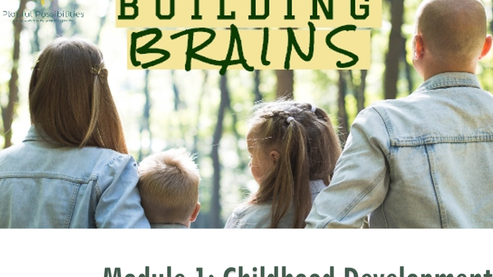 Module 1 - Childhood and Adolescent Development